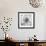 Black & White Dalia 4-Suzanne Foschino-Framed Photo displayed on a wall