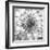 Black & White Dalia 4-Suzanne Foschino-Framed Photo