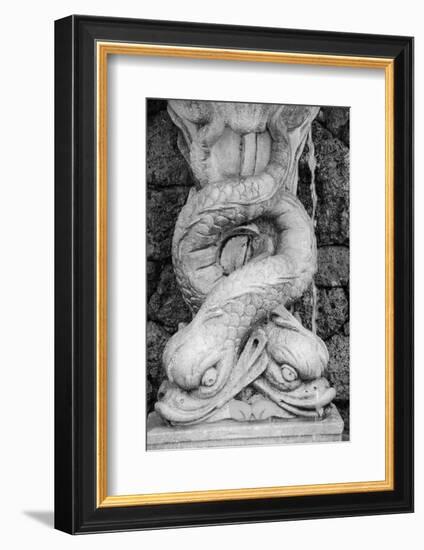 Black & White Fountain Detail I-Laura DeNardo-Framed Photographic Print