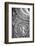 Black & White Fountain Detail II-Laura DeNardo-Framed Photographic Print