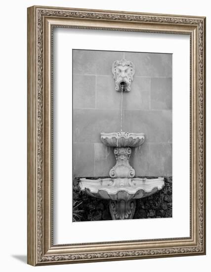 Black & White Fountains I-Laura DeNardo-Framed Photographic Print