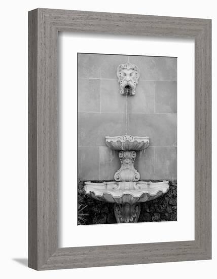 Black & White Fountains I-Laura DeNardo-Framed Photographic Print