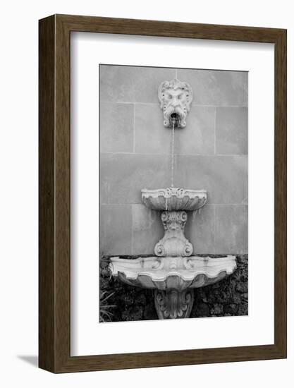 Black & White Fountains I-Laura DeNardo-Framed Photographic Print