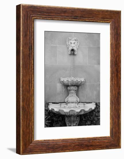 Black & White Fountains I-Laura DeNardo-Framed Photographic Print