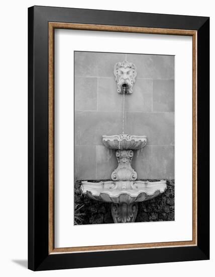 Black & White Fountains I-Laura DeNardo-Framed Photographic Print