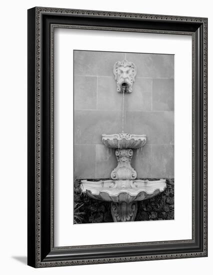 Black & White Fountains I-Laura DeNardo-Framed Photographic Print