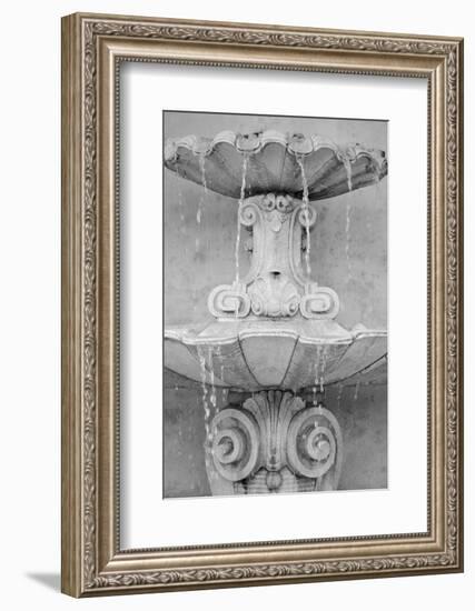 Black & White Fountains II-Laura DeNardo-Framed Photographic Print