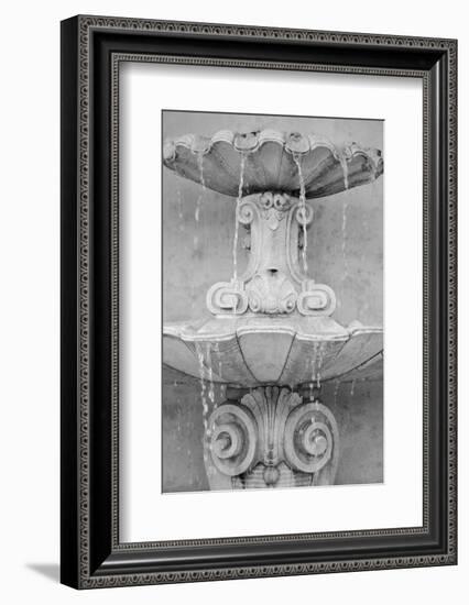 Black & White Fountains II-Laura DeNardo-Framed Photographic Print