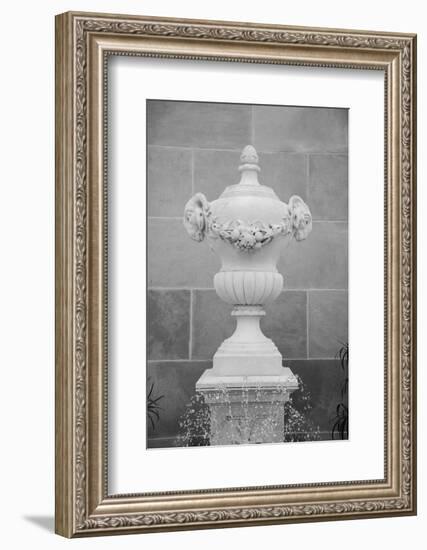 Black & White Fountains III-Laura DeNardo-Framed Photographic Print