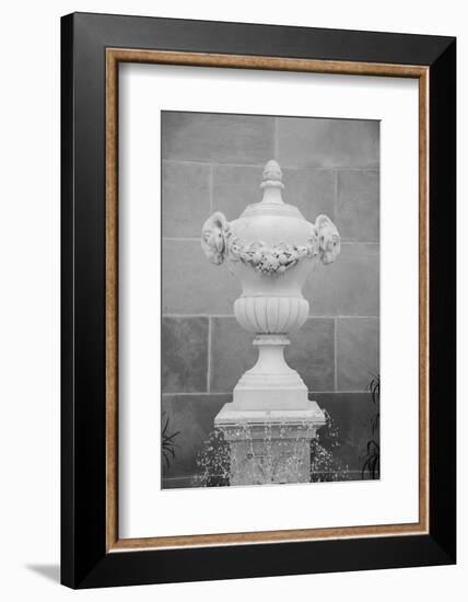 Black & White Fountains III-Laura DeNardo-Framed Photographic Print