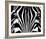 Black & White I (Zebra)-Rocco Sette-Framed Art Print