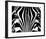 Black & White I (Zebra)-Rocco Sette-Framed Art Print