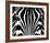 Black & White I (Zebra)-Rocco Sette-Framed Art Print