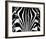 Black & White I (Zebra)-Rocco Sette-Framed Art Print