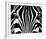 Black & White I (Zebra)-Rocco Sette-Framed Art Print