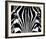 Black & White I (Zebra)-Rocco Sette-Framed Art Print