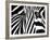 Black & White II (Zebra)-Rocco Sette-Framed Art Print