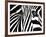 Black & White II (Zebra)-Rocco Sette-Framed Art Print