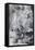 Black & White Mix I-Christina Long-Framed Stretched Canvas