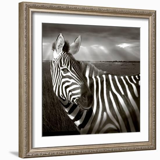 Black & White of Zebra and Plain, Kenya-Joanne Williams-Framed Photographic Print