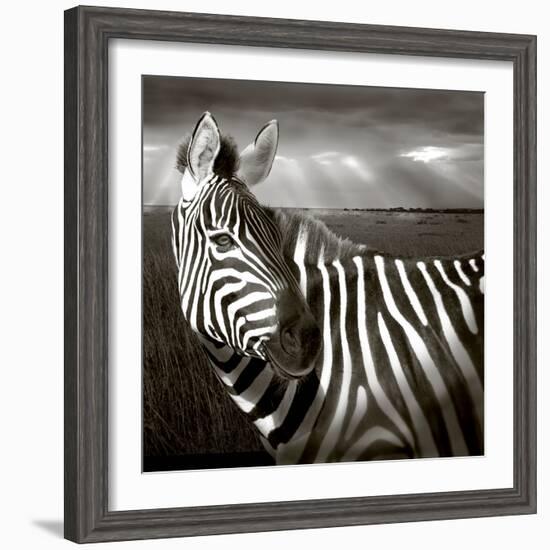 Black & White of Zebra and Plain, Kenya-Joanne Williams-Framed Photographic Print