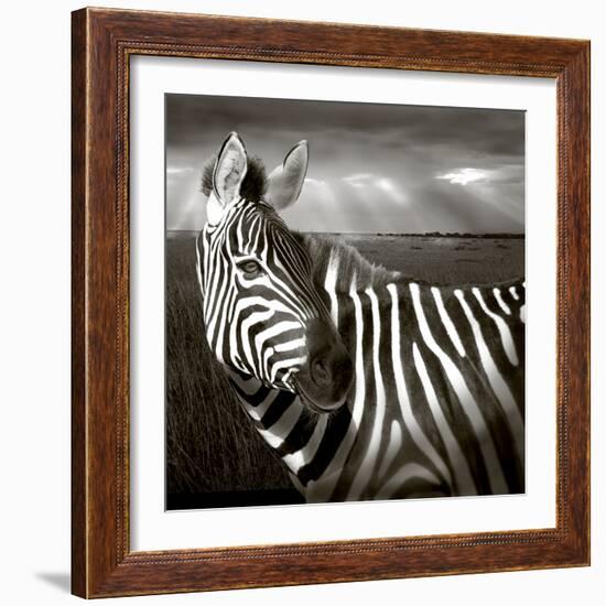 Black & White of Zebra and Plain, Kenya-Joanne Williams-Framed Photographic Print