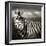 Black & White of Zebra and Plain, Kenya-Joanne Williams-Framed Photographic Print