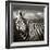 Black & White of Zebra and Plain, Kenya-Joanne Williams-Framed Photographic Print