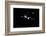 black / white recording, Bokeh-Benjamin Engler-Framed Photographic Print