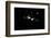 black / white recording, Bokeh-Benjamin Engler-Framed Photographic Print