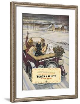Black & White Scotch Whisky-null-Framed Art Print