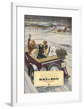 Black & White Scotch Whisky-null-Framed Art Print