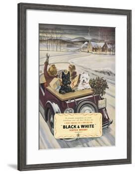 Black & White Scotch Whisky-null-Framed Art Print