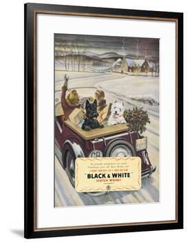 Black & White Scotch Whisky-null-Framed Art Print