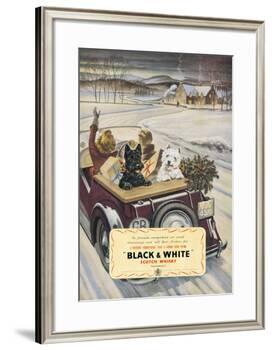 Black & White Scotch Whisky-null-Framed Art Print