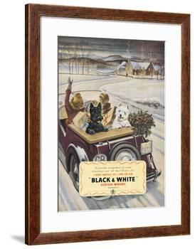 Black & White Scotch Whisky-null-Framed Art Print