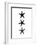 Black White Starfish Vertical-Jetty Printables-Framed Art Print