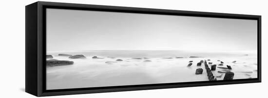 Black & White Water Panel III-James McLoughlin-Framed Premier Image Canvas