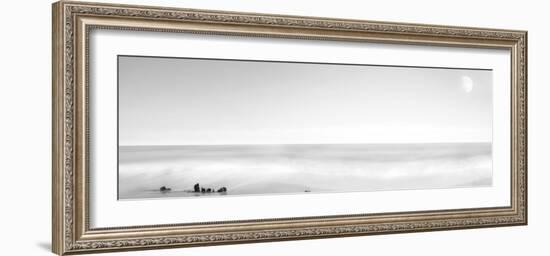 Black & White Water Panel XIV-James McLoughlin-Framed Photographic Print