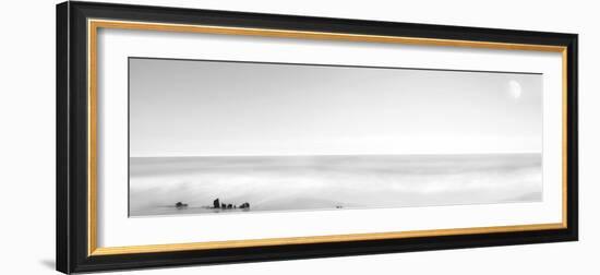 Black & White Water Panel XIV-James McLoughlin-Framed Photographic Print