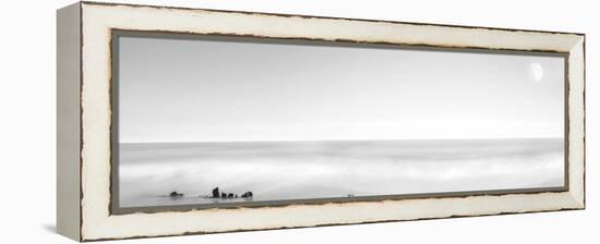 Black & White Water Panel XIV-James McLoughlin-Framed Premier Image Canvas