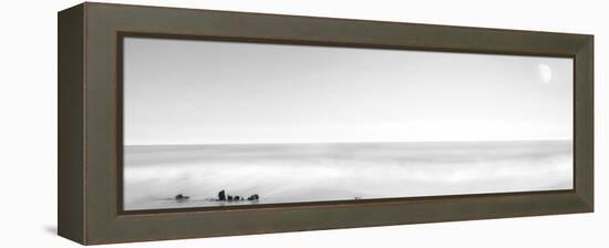 Black & White Water Panel XIV-James McLoughlin-Framed Premier Image Canvas