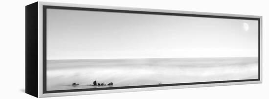 Black & White Water Panel XIV-James McLoughlin-Framed Premier Image Canvas