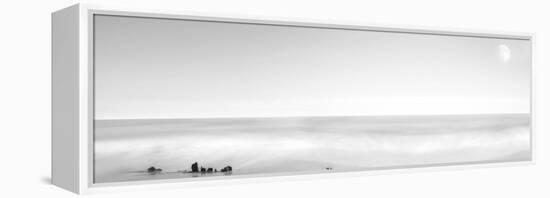 Black & White Water Panel XIV-James McLoughlin-Framed Premier Image Canvas