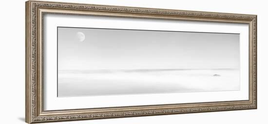 Black & White Water Panel XV-James McLoughlin-Framed Photographic Print