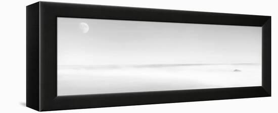 Black & White Water Panel XV-James McLoughlin-Framed Premier Image Canvas