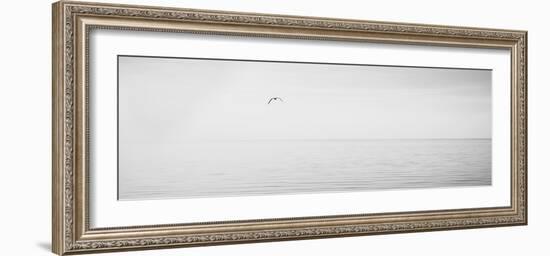 Black & White Water Panel XVI-James McLoughlin-Framed Photographic Print