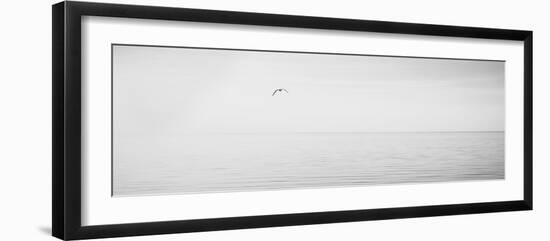 Black & White Water Panel XVI-James McLoughlin-Framed Photographic Print