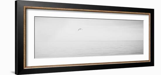 Black & White Water Panel XVI-James McLoughlin-Framed Photographic Print