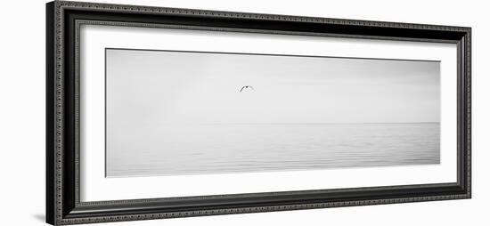 Black & White Water Panel XVI-James McLoughlin-Framed Photographic Print